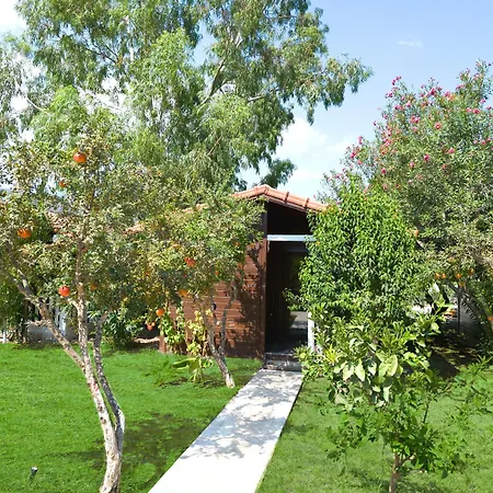 Hotel Alicra Çıralı