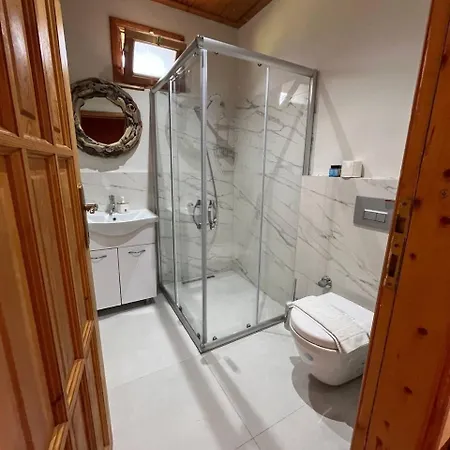Alicra 4*