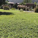 Alicra 4*