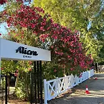 Alicra 4*
