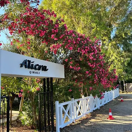 Alicra 4*
